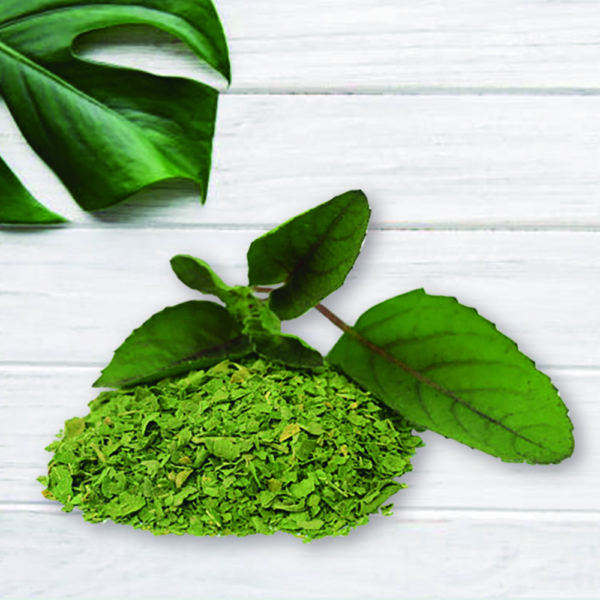 Albahaca